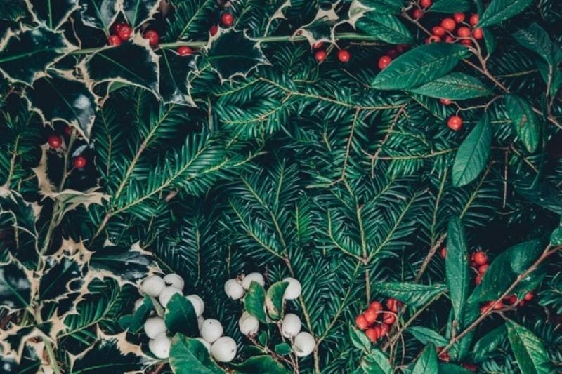 Walking in a Winter Wonderland of Carols: The Best Songs for a White Christmas