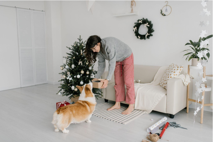 The Allure of Flocked Christmas Trees